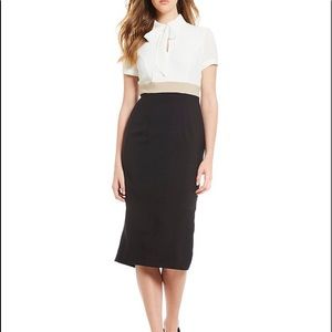 Maggy London Color Block Dress